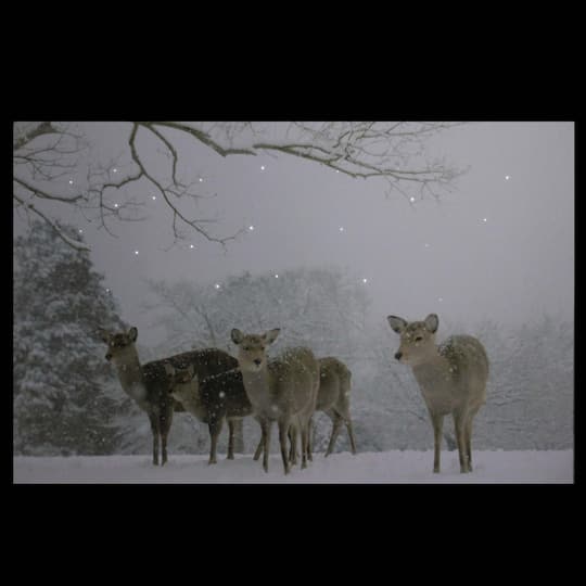 Winter Woods Deer Fiber Optic Lighted Canvas Wall Art